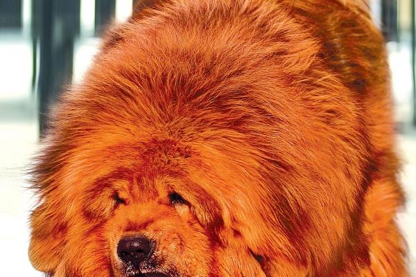 癸水男2023年癸卯年运势 对身旺身弱的人好不好