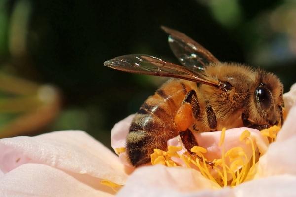 婚庆公司取哪些名字好 婚介公司名称大全