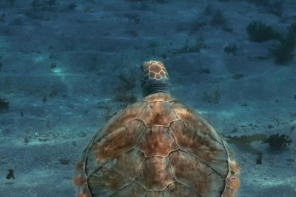 公司注册名字大全免费 公司起名字宝典