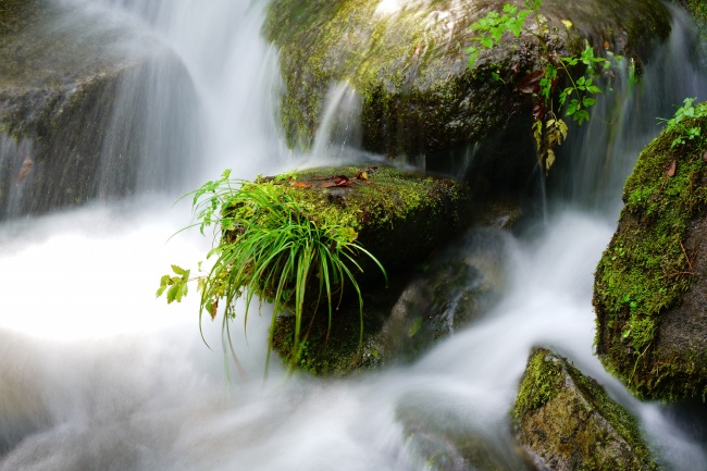 高端大气婚庆公司名字大全 婚庆公司名字大全高端