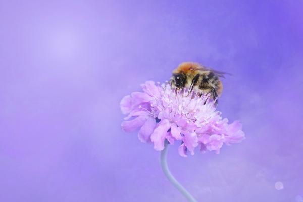 Alex 天秤座一周运势（1.16—1.22）