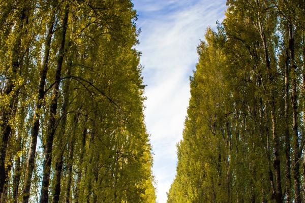 2023年男孩大年三十出生好吗还是初一好 命运分析