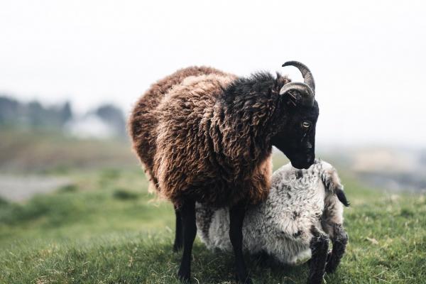 取比较有创意的婚介名字 好听不熟的婚介公司名字