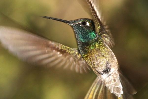 2023年旧爱变真爱的星座 冰释前嫌