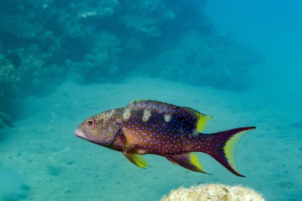 2023年变漂亮的星座女 外表内在都美  　　