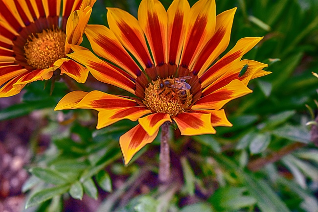 2023年什么星座好 恭喜幸运上榜  　　