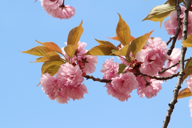 婚庆公司起名好听的名字大全 新颖的公司名字大全