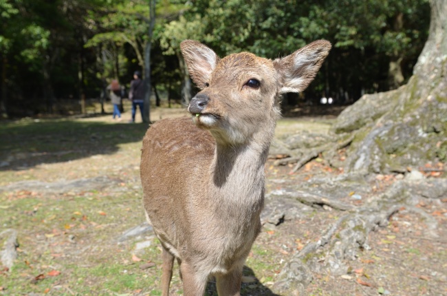 2023年必定结婚的星座男 喜结良缘  　　