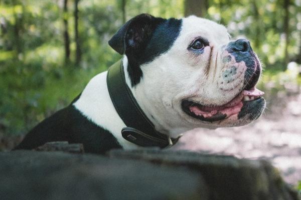 好听寓意好的装修公司名 小型装修公司名字大全