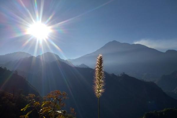 服装公司起名免费 好听好记的服装公司名字