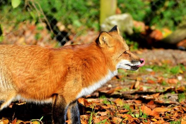 三个字洋气的公司名称大全 公司起名三个字的好名字