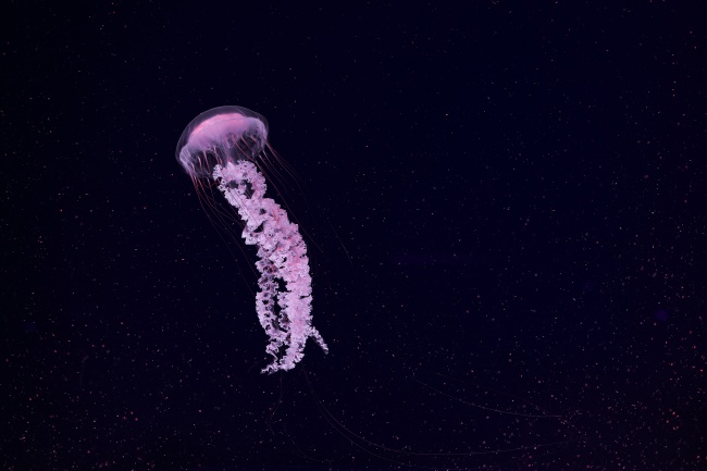 今年注册公司名字大全 最新公司起名字大全免费