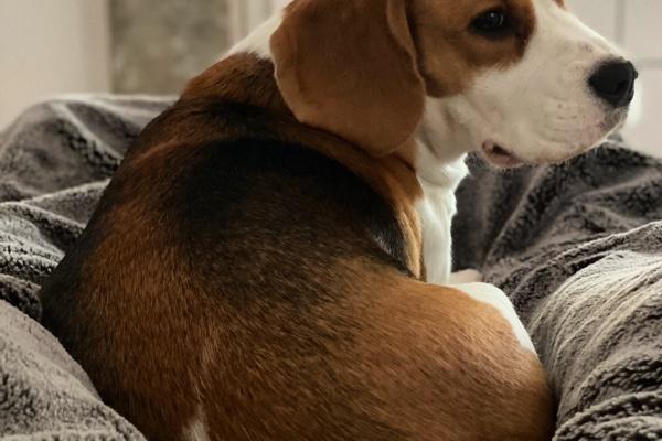 2023年正月初一什么命 这天出生属什么