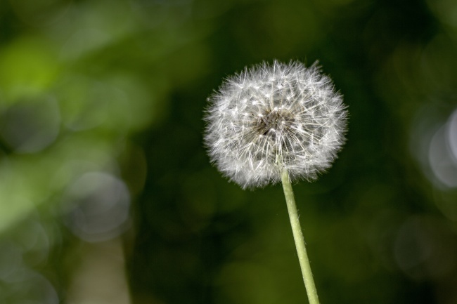 2023年2月26日开业吉日一览表 今日开业则事业长虹人气旺旺