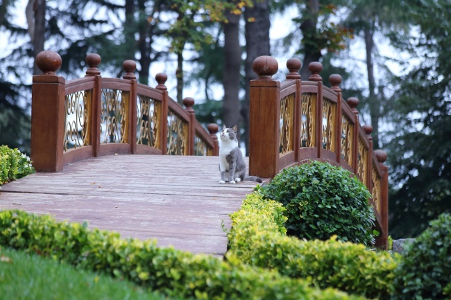 水瓶座2023年贵人运2月情况 顺利吗?