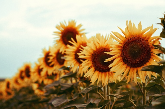 2023年正月初六结婚好不好 今天是好日子吗