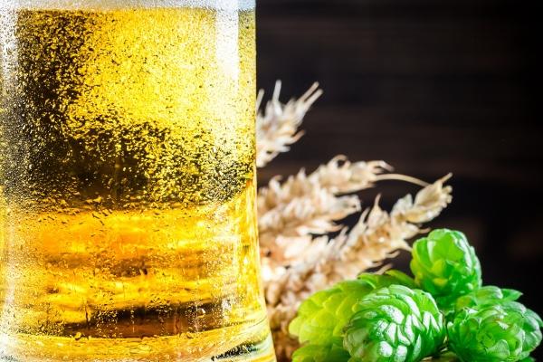 开公司的名称大全 起公司名字大全免费取名