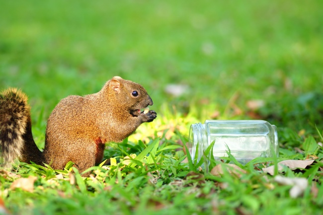 喜庆的公司名字大全 好听的公司名字大全2023