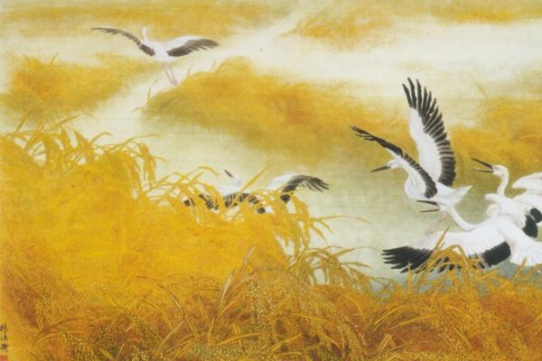 第一星运 2023年巨蟹座2月运势