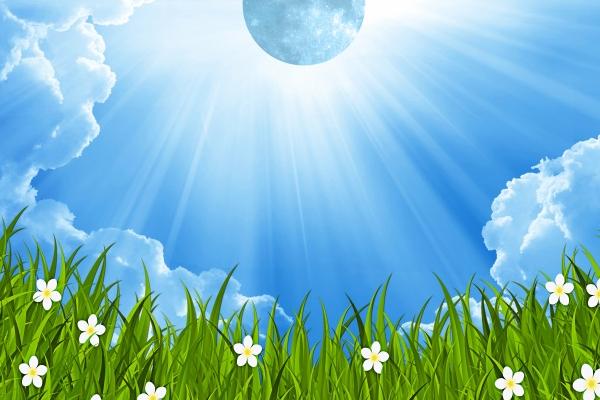 双子座2023年学业运2月情况  运程详解