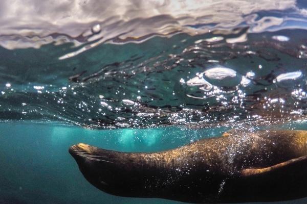 2023年大年初三出生好不好 这天出生的孩子好不好