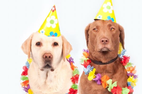 2023年正月初一出生的孩子好吗 运势怎么样