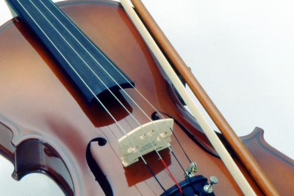 摩羯和巨蟹哪个阴险 摩羯座会死于巨蟹座吗