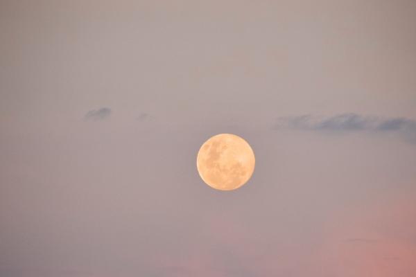 巨蟹男为天秤女着迷 巨蟹男整天想天秤女