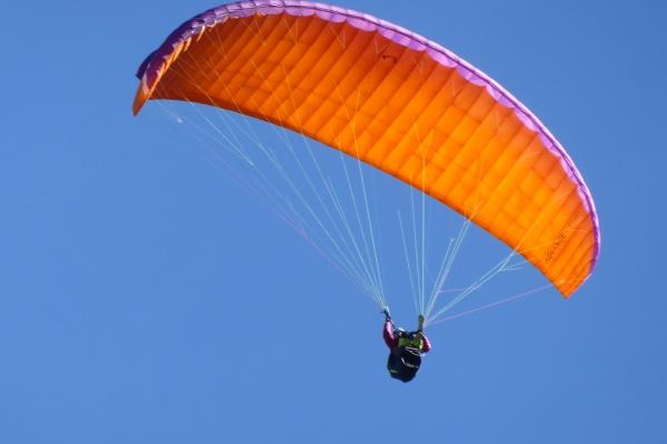 第一星运 2023年双子座2月运势