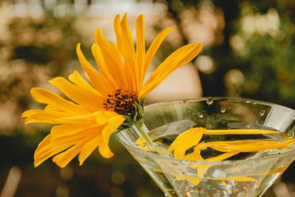 春节开的公司名字大全 吉祥又成功的公司名字