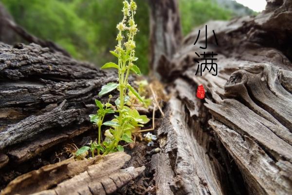 春节开的公司名字大全四个字 寓意好的四字公司名字