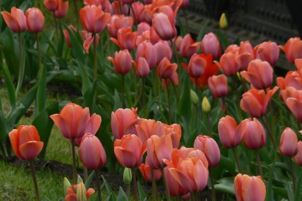 吉祥喜庆的公司名字 祥瑞大气的公司名字大全