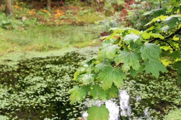 正月公司起名字大全四个字 四个字响亮的公司名字