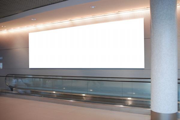 2023年农历二月初十出生的人什么命,五行缺什么