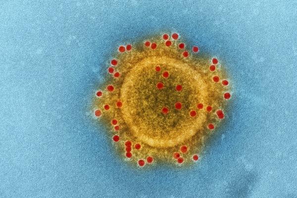 壬申日2023流年运程 草木皆兵容易心乱