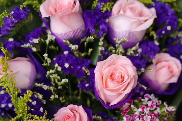 狮子座2023年春季健康运走向 比较不错继续保持