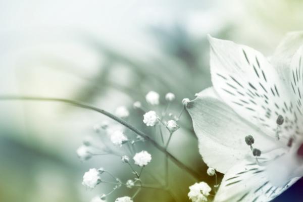 千万别主动跟他们提分手!这3大星座绝对不吃回头草