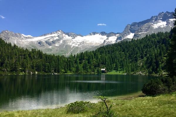 射手座2023年春季健康运走向  好运发展建议