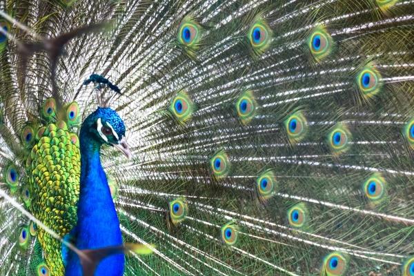 9月婚姻运最好的星座2023年 进入人生新阶段