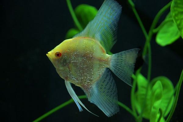 机械公司起名大全简单大气 公司起名字大全