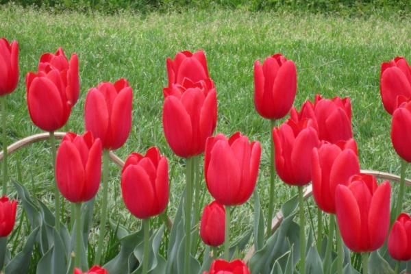 白羊座2023年3月财运走向 相对低迷  　　