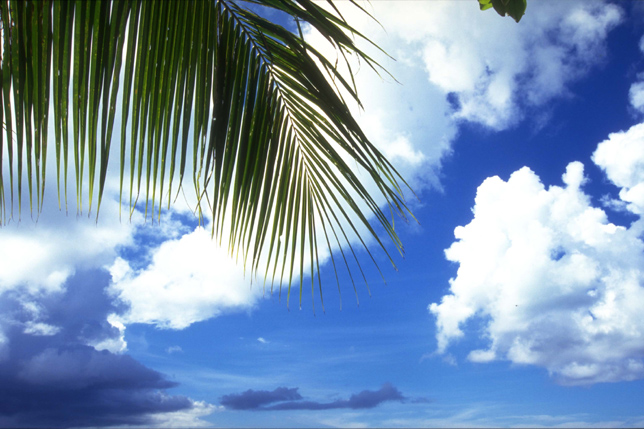 新公司起名二字大全集 吉祥的公司名称