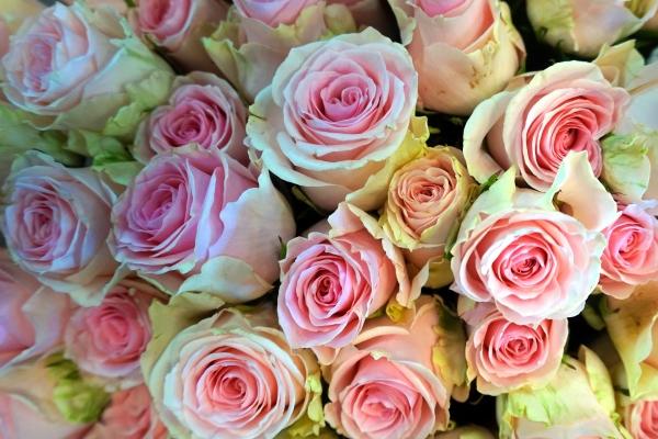 贸易公司的名字取什么好 新开公司怎样取公司名称