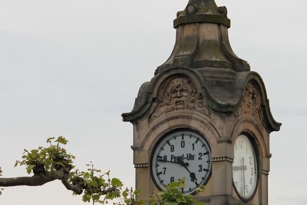 2023年9月健康运最好的星座 保持良好心态