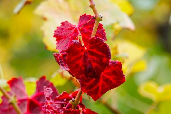 2023年9月事业运最好的星座 突飞猛进的发展