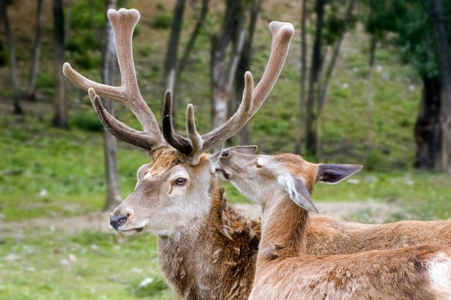 2023年正月初几开工大吉 最佳开业好日子