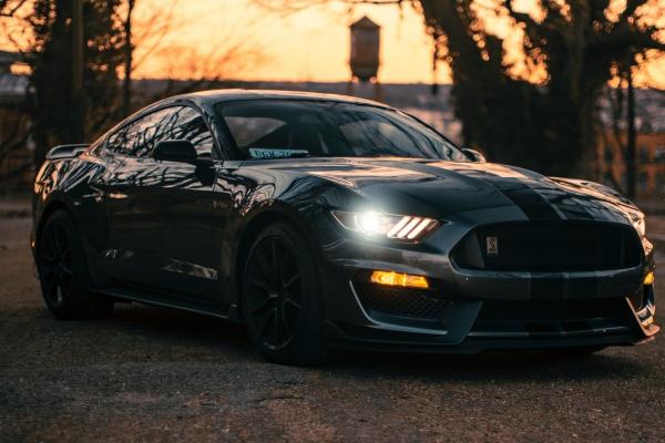 狮子座2023年4月爱情运走向 幸福指数暴涨  　　