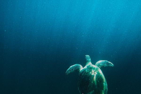 好寓意餐饮公司名字 寓意好响亮的餐饮公司名字