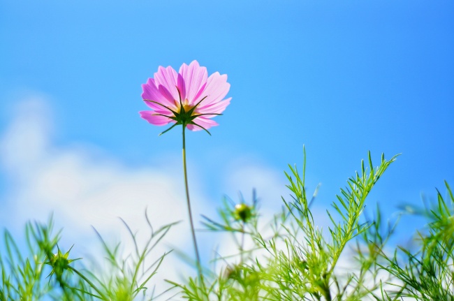 餐饮公司免费取名字大全 好听大气的企业名字