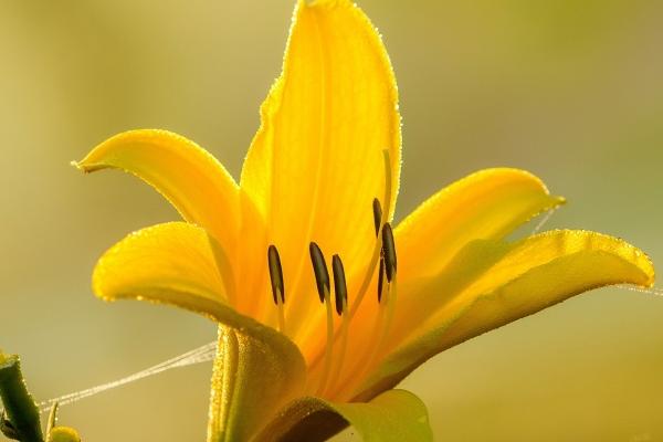 双子座2023年婚姻运4月情况 各个阶段不同表现